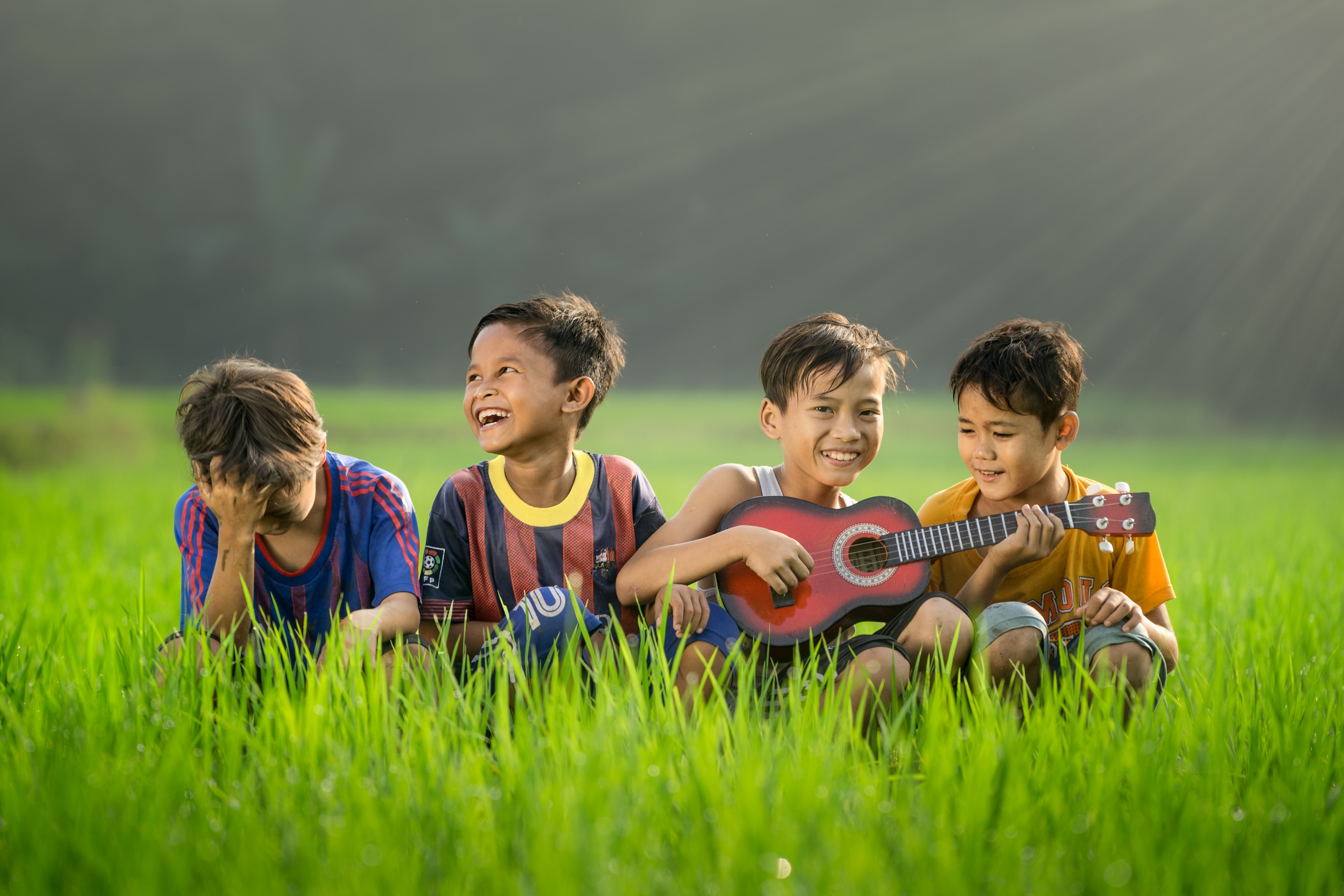 Four boys sit in a field, one of them holding a small stringed instrument